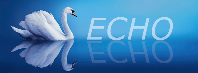 Client/Server “Echo Name” feature image